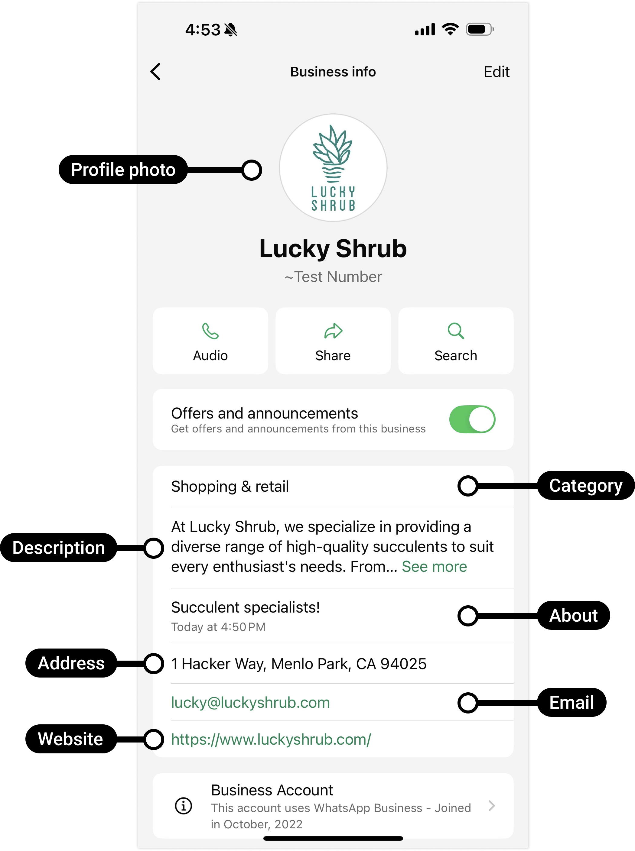 A WhatsApp business profile card as a customer sees it, showing the logo, name, and business details