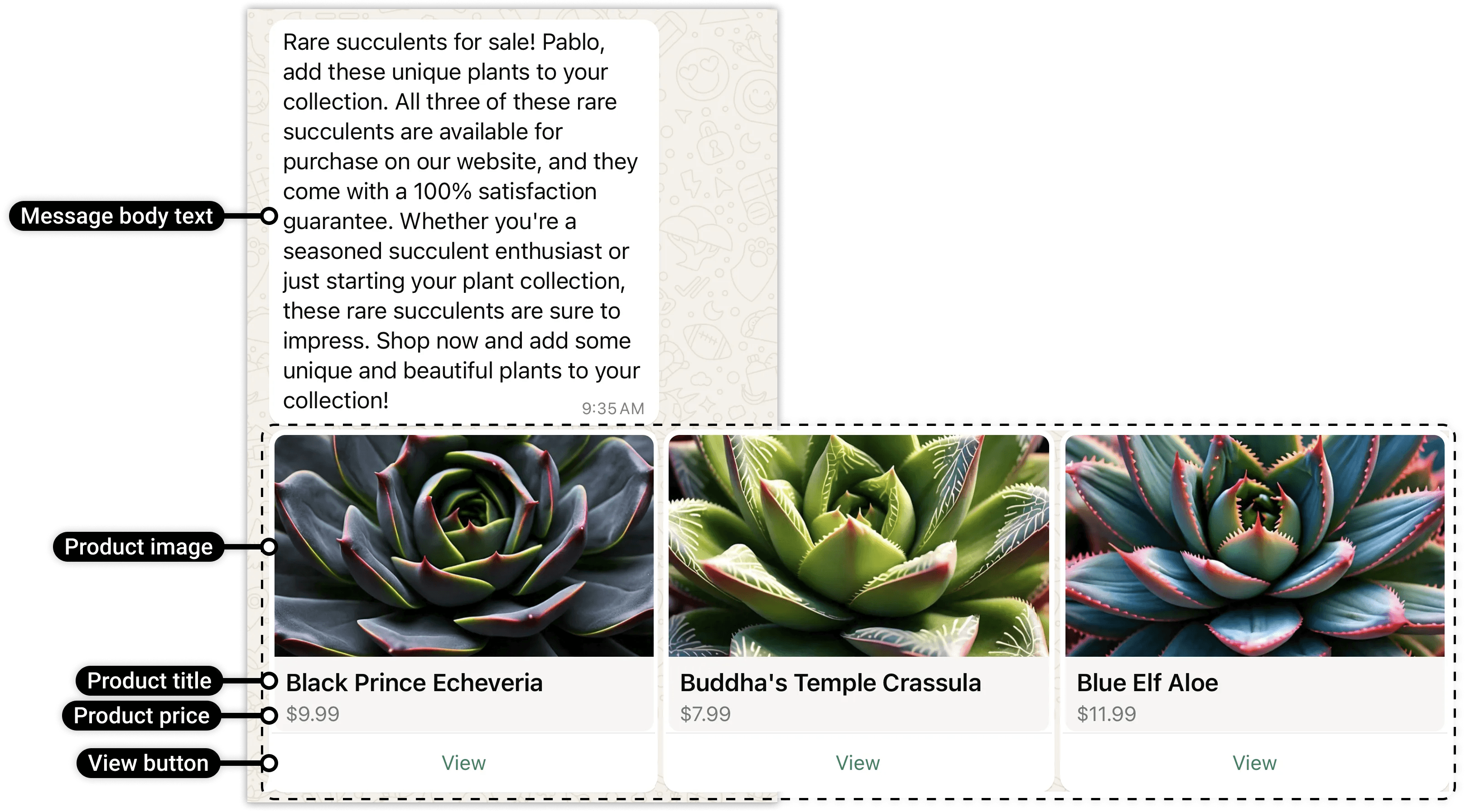 A carousel card using an SPM View button that opens product details in chat