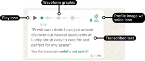 Audio message on WhatsApp