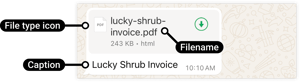 Document message on WhatsApp