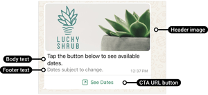 Interactive message with buttons on WhatsApp