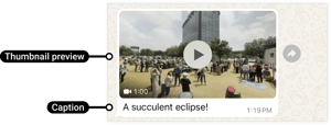 Video message on WhatsApp