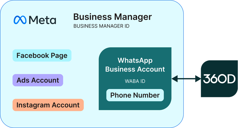 How a Meta Business Portfolio contains your WhatsApp Business Account